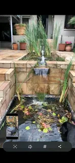 Transforming landscapes in Bryanston, Gauteng