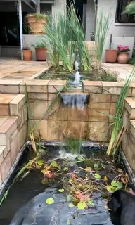 Transforming landscapes in Bryanston, Gauteng