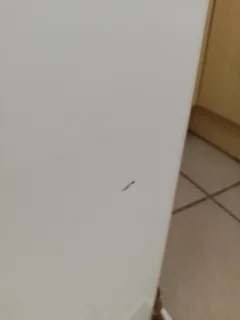 LG Fuzzy Logic 8.2 washing machine