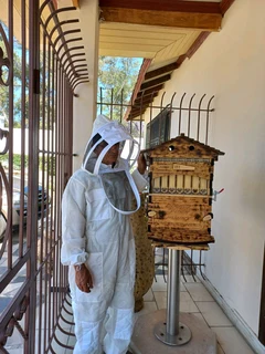 Flow beehive Easter promotion