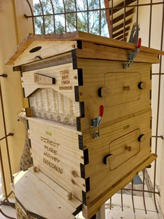 Flow beehive Easter promotion