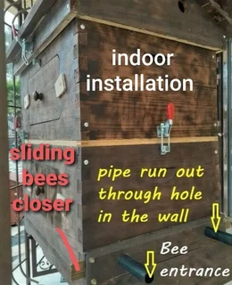 Flow Beehive beehive with bees