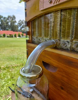 Flow Beehive beehive with bees