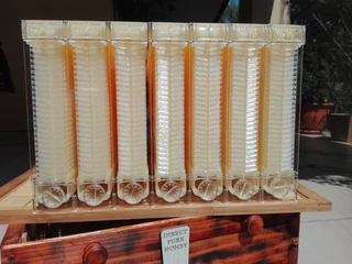 Flow Beehive beehive with bees