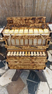 Flow Beehive Raw honey