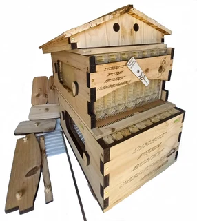 Flow Beehive Raw honey