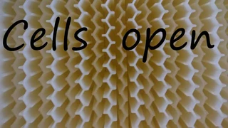 Full observation flow beehive and protective gear