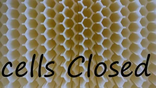 Full observation flow beehive and protective gear