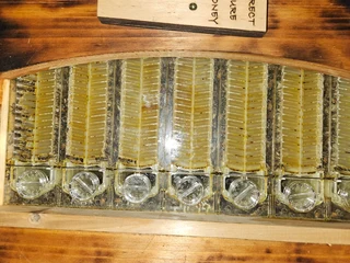 Full observation flow beehive and protective gear