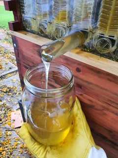 Full observation flow beehive and protective gear