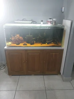 Fish tank