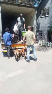 JOE Trucks, bakkies, 4 ton, 8 ton &amp; trailers