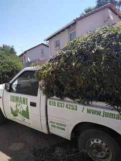 Expert Tree fellers &amp; Maintenance
