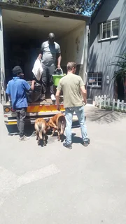 JOE TRUCKS - Bakkies, 4 en 8 ton toe trokke