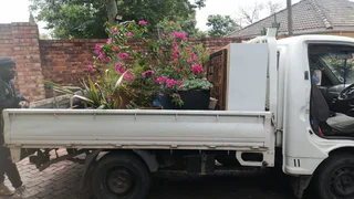 PRIME PATH TRANSPORT - DELIVERY – FESTIVE SEASON SPECIAL