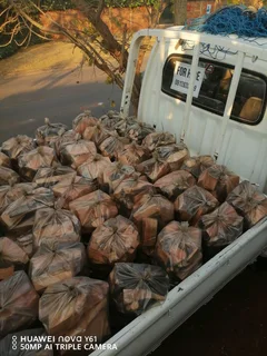 PRIME PATH TRANSPORT - DELIVERY – FESTIVE SEASON SPECIAL