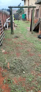 Mo &amp; Go lawn care