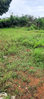 Mo &amp; Go lawn care