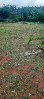 Mo &amp; Go lawn care