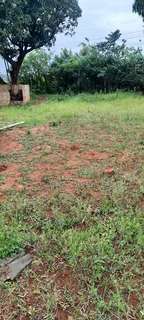 Mo &amp; Go lawn care