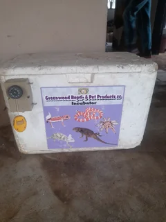 Reptile incubator