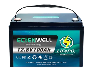 Ecienwell 12V 100Ah Lithium LiFePO4 Battery 100A BMS – 5 Year Warranty –
