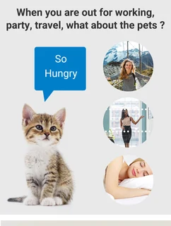 Cat/Dog Smart Food Dispenser with Wifi Camera and Voice Recorder - (10005925)