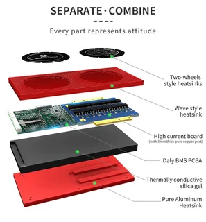 Daly 3.2V LiFePo4 8S 24V 30A  LFP PCM Battery Protection Board BMS with Balance (10004991)