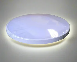 REDISSON 2Pack 24watt 240vAC 6500K (Cool White) 2000Lumens Round LED Light Panel (10007540)