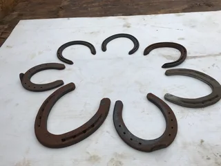 Horse Shoe
