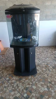 Fish aquarium