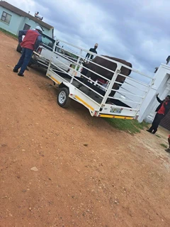 Bakkie with trailer for hire