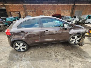KIA  RIO