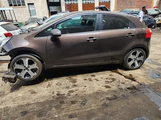 KIA  RIO