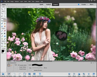 Photoshop Elements 2026 - Edit Photos like a Pro!!!