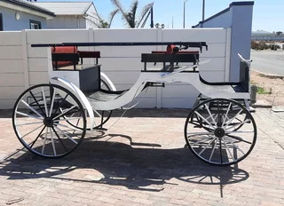 HORSES and carriages