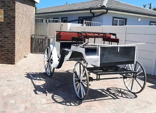 HORSES and carriages