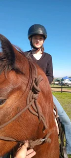 HORSES and carriages