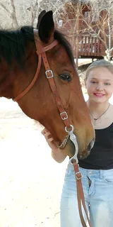 HORSES and carriages