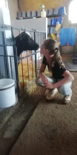 HORSES and carriages