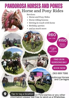 HORSES and carriages