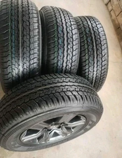 OEM Toyota rims and Dunlap grandtrek AT25