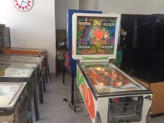 Jungle pinball machine , 4 player by Gottlieb for sale