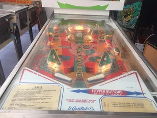 Jungle pinball machine , 4 player by Gottlieb for sale