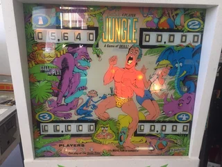 Jungle pinball machine , 4 player by Gottlieb for sale