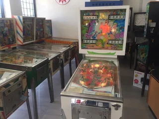 Jungle pinball machine , 4 player by Gottlieb for sale