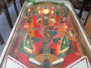 Jungle pinball machine , 4 player by Gottlieb for sale