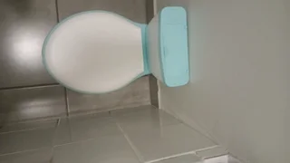 Kids potty training toilet... Great condition only 200