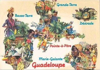 French and German Tutoring