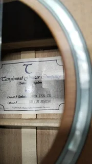 TangleWood acoustic guitar &amp; Hard Case - Mint Condition